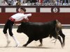 LasVentas16