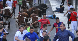 Encierro de Guada 2024